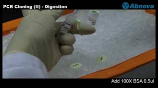 PCR Cloning II Digestion [upl. by Drarig612]