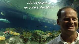 OdySea Aquarium An Oceanic Adventure  Pinoy Tasteful Journeys [upl. by Sterling]