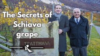 Unveiling The Secrets Of Schiava grape  Girlan Winery [upl. by Cohlier]