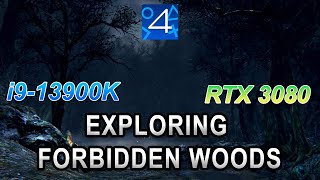 Bloodborne Exploring Forbidden Woods  ShadPS4 021 WIP  Intel i913900k  RTX 3080 [upl. by Derdlim]