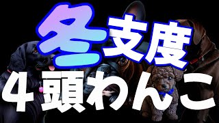 冬支度 多頭飼い ラブラドールレトリバー フラットコーテッドレトリバー フレンチブルドッグ トイプードル 可愛い 大型犬 [upl. by Tavis]