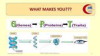 MED LEVEL1 MBG Meiosis And Gene Variation 1 [upl. by Ramma]