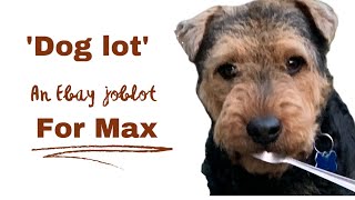 Dog Lot an Ebay job lot for Max joblot Ebay doglovers mysterybox [upl. by Llecrup]