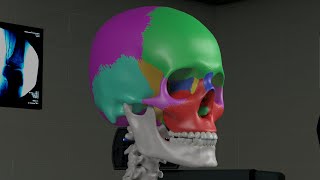 Chapter 1 Basic Sinus Anatomy [upl. by Strickler]