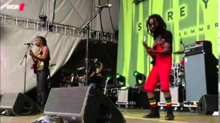 Raging Fyah quotjah gloryquot summer jam 2014 [upl. by Faxun]