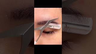 Effortless Eyebrow Trimming for Beginners  Safe amp Easy Eyebrow Razor Set shorts [upl. by Dud]