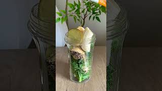 Refreshing Detox Water Recipe for Weight Loss [upl. by Aerdnas342]