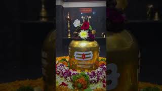 Ganga dharay Shiv Ganga dharay har har bhole Namah Shivaya mahadev short viralindia reels shiv [upl. by Eidnar]