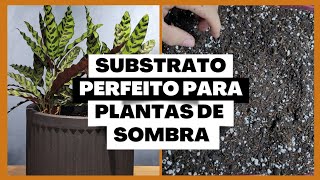 Substrato para plantas de sombra [upl. by Manda]