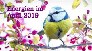 Energien April 2019  Portaltage mit Voll und Neumond  Zeitqualität Neue Wege  bekannte Ziele🦋 [upl. by Macleod]