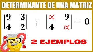 Determinantes 2x2 [upl. by Ferrel]