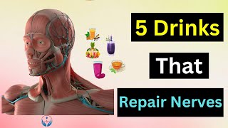 5 Drinks That Repair Nerves [upl. by Hailahk]