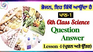 ਭੋਜਨ  ਇਹ ਕਿਥੋਂ ਆਉਂਦਾ ਹੈ  6th class science book  chapter1  PSEB  question answer  lesson 1 [upl. by Milissent993]