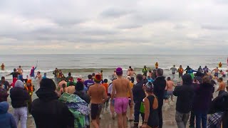 Hundreds take the plunge in Oakville for 39th annual Courage Polar Bear Dip [upl. by Niliak508]