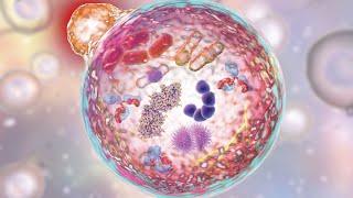 Autophagys DoubleEdged Role Epigenetic and PostTranslational Modulations in Health and Disease [upl. by Ailedamla697]