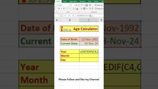 Age Calculator in Excel  Excel tips amp tricks [upl. by Onida]