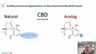 What are Cannabinoid Analogs and Why are they Important [upl. by Lucania405]