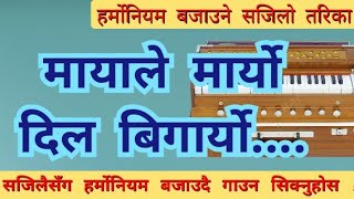 मायाले मार्यो  Mayale Maryo  How to play Harmonium  हर्मोनियम बजाउने तरिका [upl. by Fern]