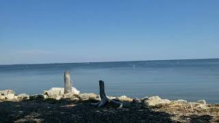 Bay Beach East End Train Ride  Green Bay WI [upl. by Nugesulo]