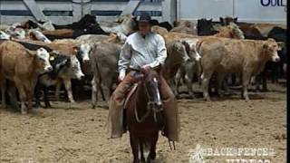 HIGHBROW SUPERCAT  2005 NCHA Futurity Champion [upl. by Haerle]