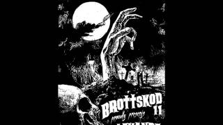 Brottskod 11  Rebellerna dbeat punk Sweden [upl. by Romonda]