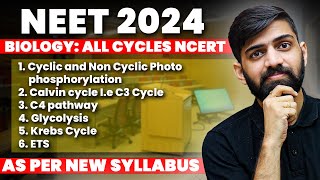 One Shot  All Biology Cycles For NEET 2024  One shot NEET 2024  Anmol Sharma [upl. by Orit]