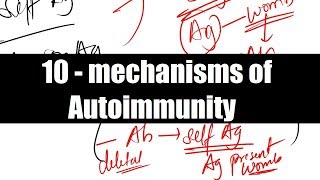 Mechanisms of Autoimmunity  Immunology  Pathology  Microbiology  Medicine   NEET PG [upl. by Conah]