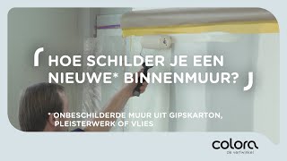 Hoe schilder je een nieuwe binnenmuur  Verftips van de colora coach [upl. by Severen]