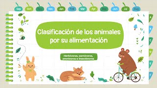 Clasificación de los animales por su alimentación carnívoros herbívoros omnívoros e insectívoros [upl. by Mitchael926]