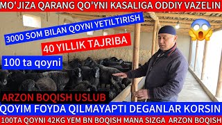 QOYNIG KASALIGA ODDIY DAVO MANA NEGA OZGARMAYDI 40 YILLIK TAJRIBA SROCHNI TARQATING TEL 941544307 [upl. by Mapes870]