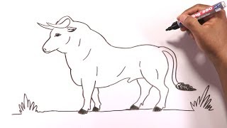 How to draw a bull easily [upl. by Znarf602]