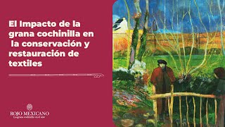 El Impacto de la grana cochinilla en la conservación y restauración de textiles [upl. by Hacim]