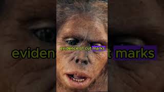 5 facts about the Homo Habilis dinosaur prehistoric caveman [upl. by Selwyn]