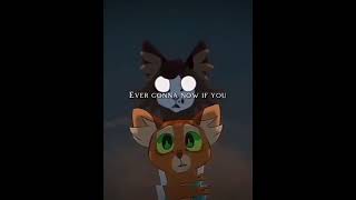 warrior cats REUPLOAD [upl. by Bina]