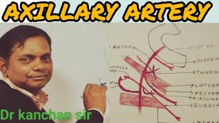 Axillary Artery  Axilla  Artery Supply of upper limb  Upper limb Concept of Anatomy [upl. by Ailito]