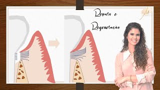 Regeneração e Reparo em Periodontia [upl. by Hgielac167]