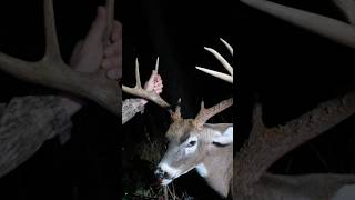 Bowhunting Missouri Whitetails [upl. by Eiramik]