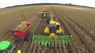 Seed Corn Harvest [upl. by Merilee168]