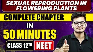 SEXUAL REPRODUCTION IN FLOWERING PLANTS in 50 Minutes  Full Chapter Revision  Class 12th NEET [upl. by Andra646]