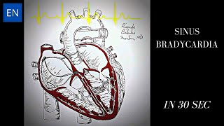 Sinus Bradycardia Animation and ECG Shorts [upl. by Saxe557]