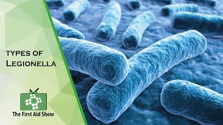 Learn more about Legionella bacteria responsible for Legionnaires disease and Pontiac fever [upl. by Lenore17]