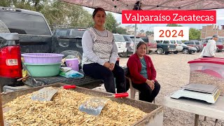 HAY SEMILLAS TOSTADAS en Valparaíso Zacatecas 2024  Familia Robles  Domingo 17 de Noviembre [upl. by Dahle]