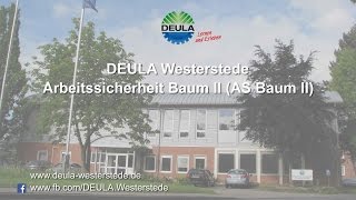 DEULA Westerstede  Lehrgang AS BAUM II [upl. by Armil]