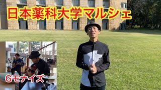 日本薬科大学のマルシェで演奏してきました♪ [upl. by Theodor]