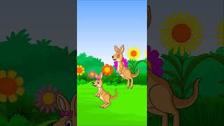 🦘 KANGAROO Song  Fun Animated Cartoon Video for Kids by JBBearz 🎶 shorts shortsvideo [upl. by Anh]