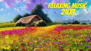 HSSaini Relaxing Music 24X7  Soothing Soul Music  Meditation Music  Stress Relief  Study Music [upl. by Eznyl]