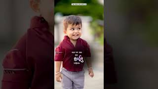 मराठी लव्ह stutas viral bayko shots baby cutebaby cuteboy love trending status viralshort [upl. by Eniamrehs]