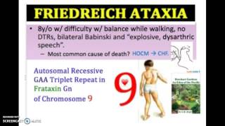 Friedreichs Ataxia Causes Symptoms Diagnosis Treatment  Gait Ataxia USMLE NCLEX MCAT 3 mn [upl. by Brett]