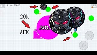 Agario AFK VIRUS TROLLING  NO MACRO  DUO VS 1000000 IN AGARIO [upl. by Cirderf553]