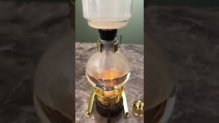 Siphon Coffee bangladesh coffee coffeedrink cafelatte barista latte latteartbasic [upl. by Bigod675]